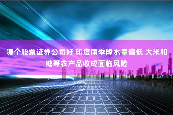 哪个股票证券公司好 印度雨季降水量偏低 大米和糖等农产品收成面临风险