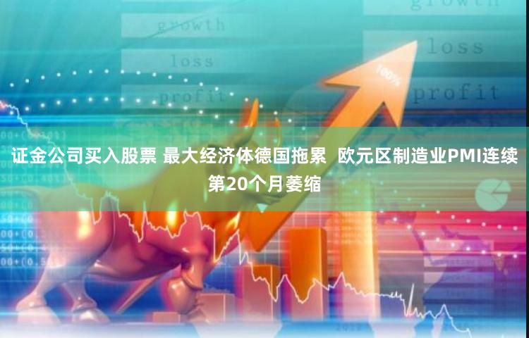 证金公司买入股票 最大经济体德国拖累  欧元区制造业PMI连续第20个月萎缩